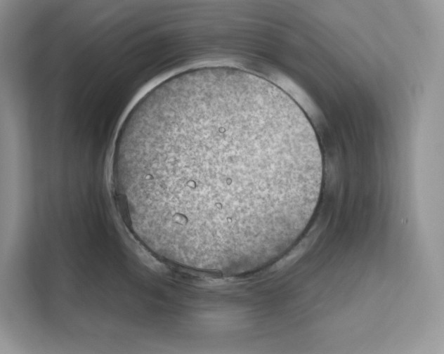 X0000111631052200908071407