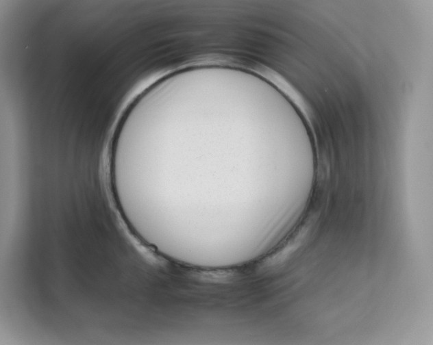 X0000111631053200908071407