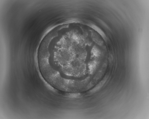 X0000111631055200908071407