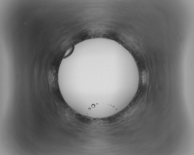 X0000111631059200908071407