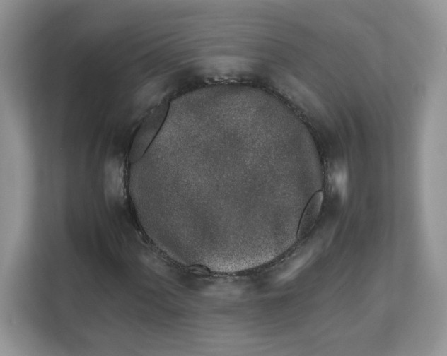 X0000111631060200908071407