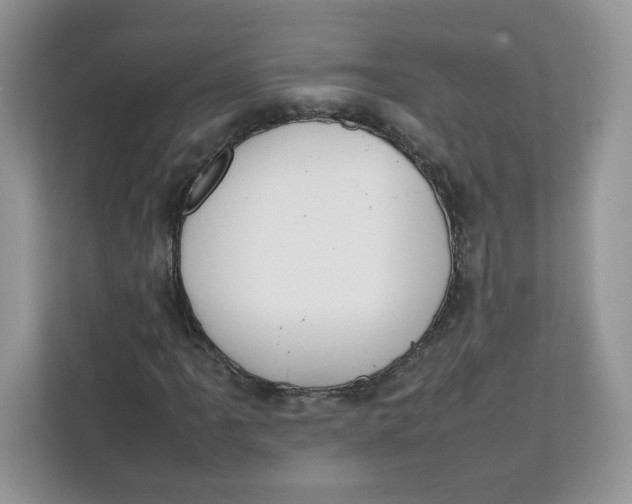 X0000111631061200908071407