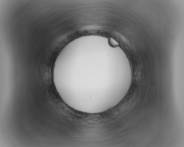 X0000111631062200908071407