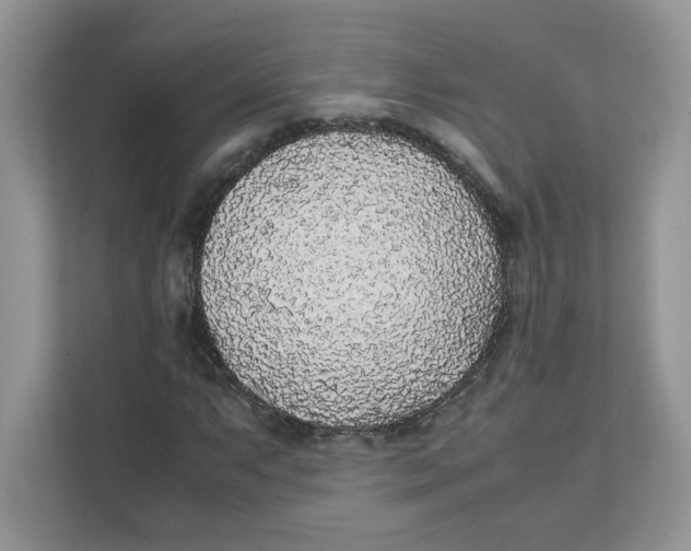 X0000111631063200908071407