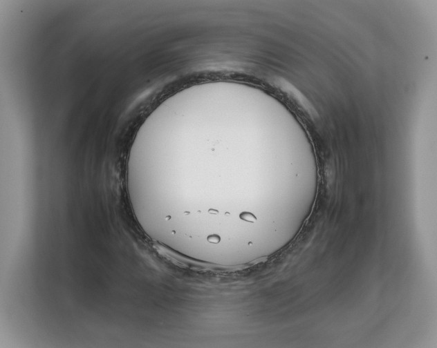 X0000111631064200908071407