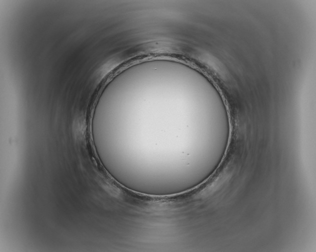 X0000111631065200908071407