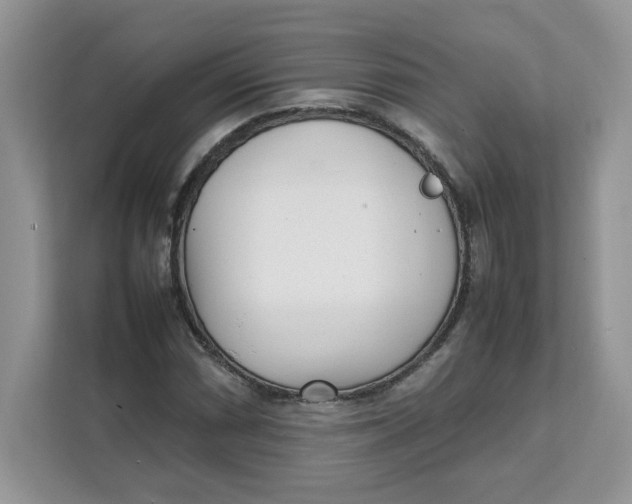 X0000111631066200908071407