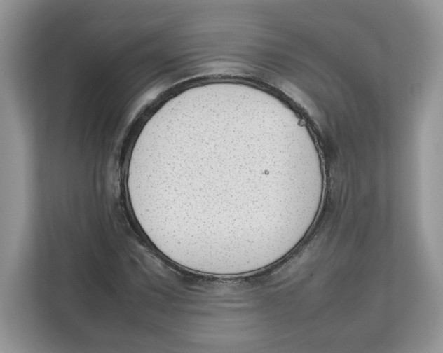 X0000111631067200908071407