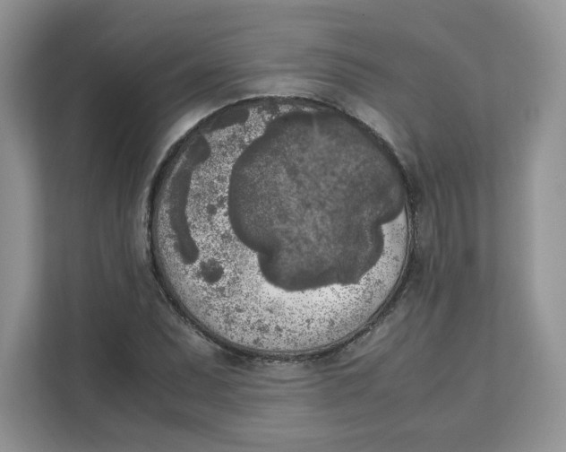 X0000111631071200908071406