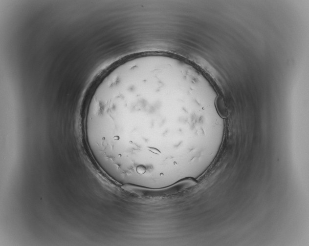 X0000111631072200908071406