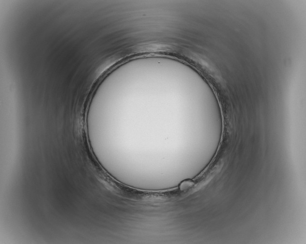 X0000111631073200908071406