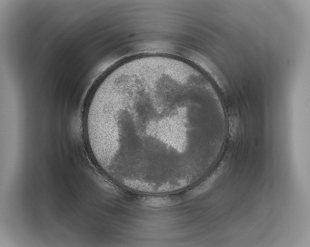 X0000111631074200908071406