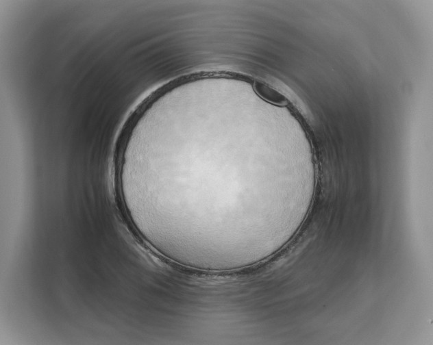 X0000111631076200908071406