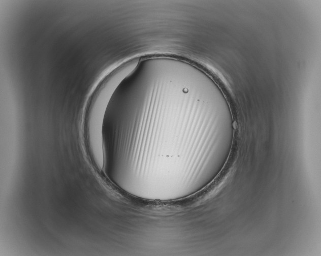 X0000111631077200908071406