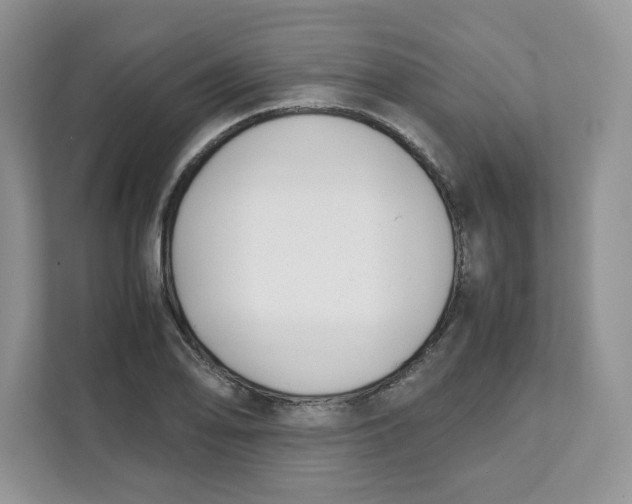 X0000111631078200908071406