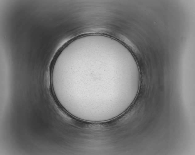 X0000111631079200908071406