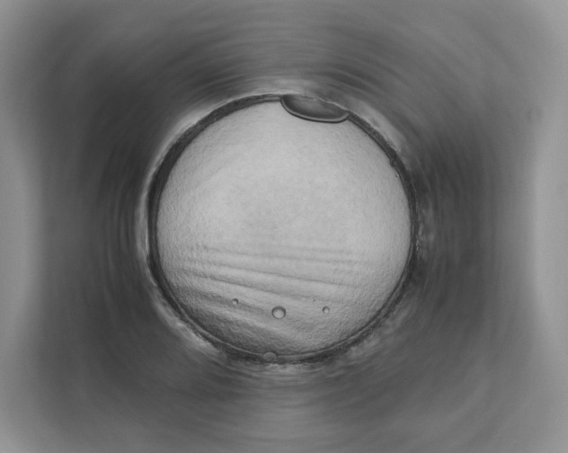 X0000111631080200908071406