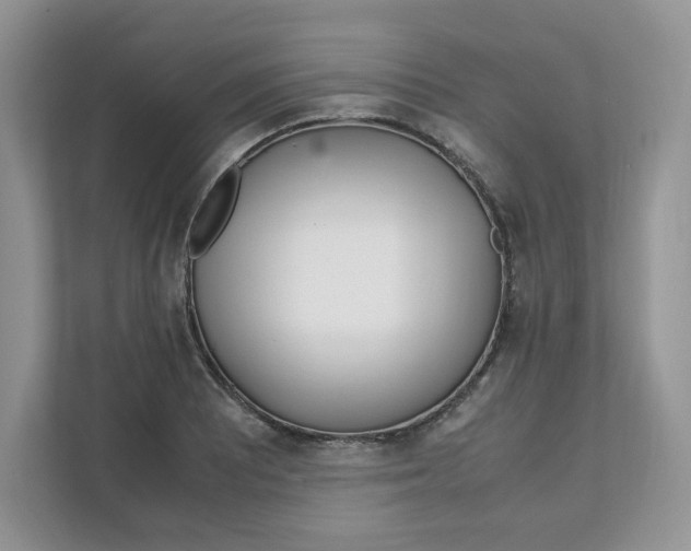 X0000111631081200908071406