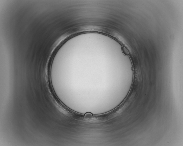 X0000111631082200908071406