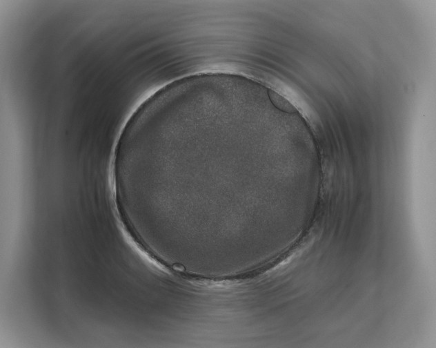 X0000111631084200908071406