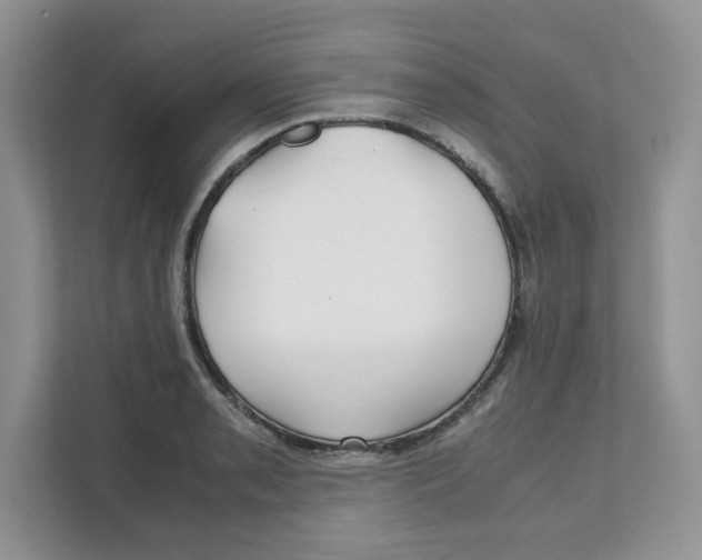 X0000111631085200908071406