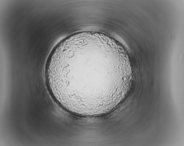 X0000111631087200908071406