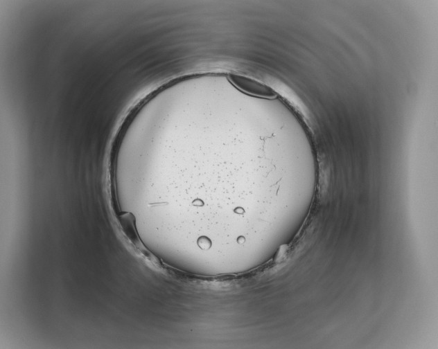 X0000111631088200908071406