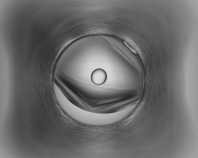 X0000111631089200908071406