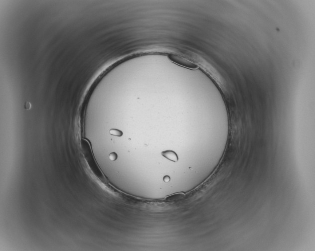 X0000111631092200908071406