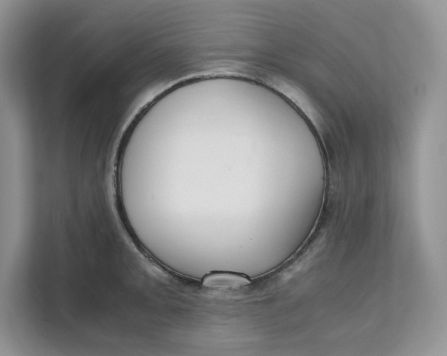 X0000111631093200908071406