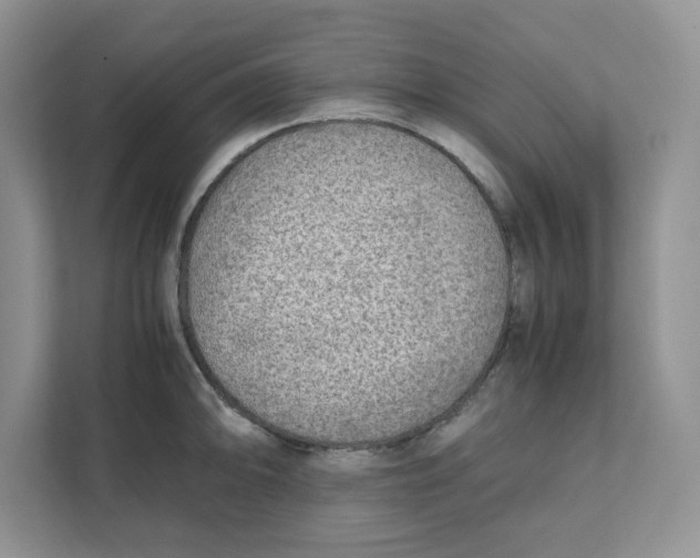 X0000111631094200908071406