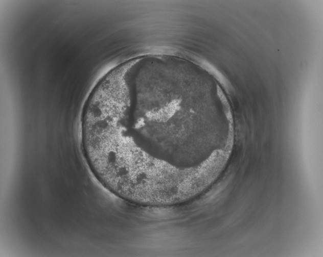 X0000111631095200908071406