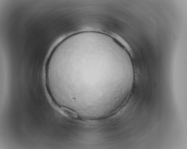 X0000111631096200908071406