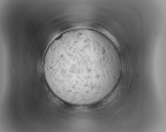 X0000111631097200908071406