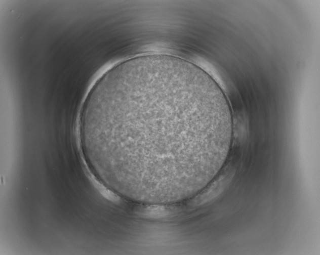 X0000111631098200908071406