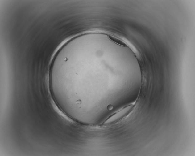 X0000111631100200908071406