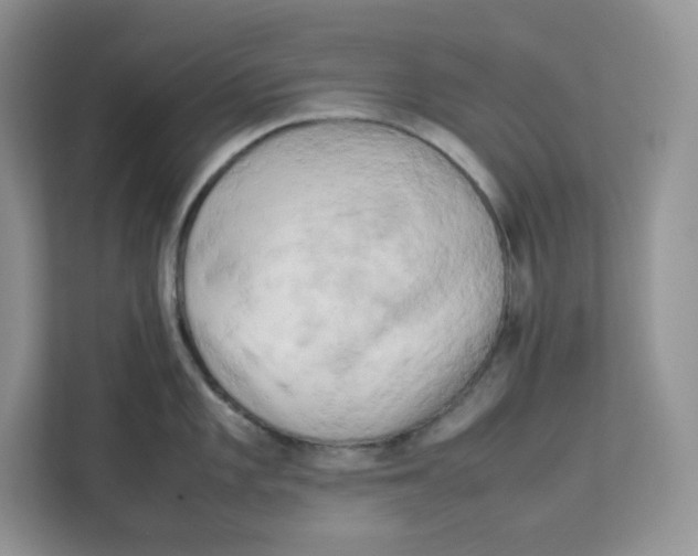 X0000111631101200908071406