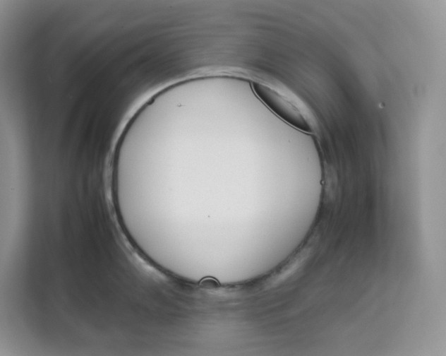 X0000111631102200908071406