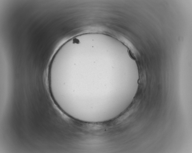 X0000111631103200908071406