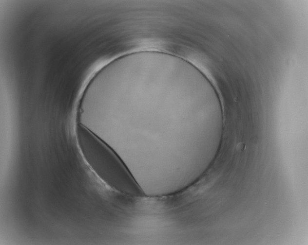 X0000111631104200908071406