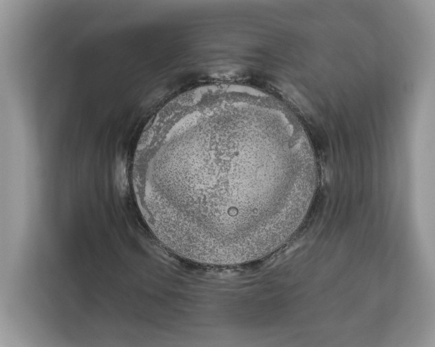 X0000111631106200908071405