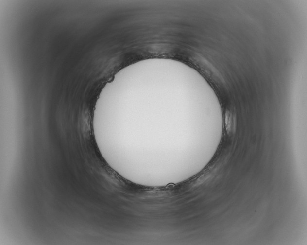 X0000111631107200908071405