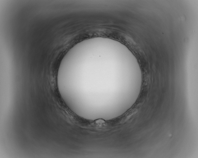 X0000111631109200908071405