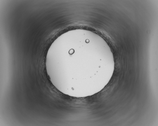 X0000111631110200908071405