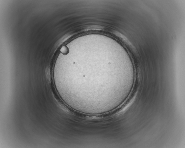 X0000111631113200908071405