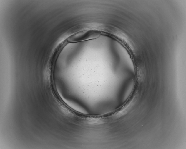 X0000111631114200908071405