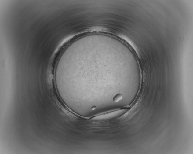 X0000111631115200908071406