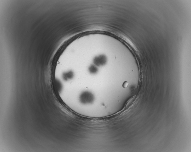 X0000111631116200908071406