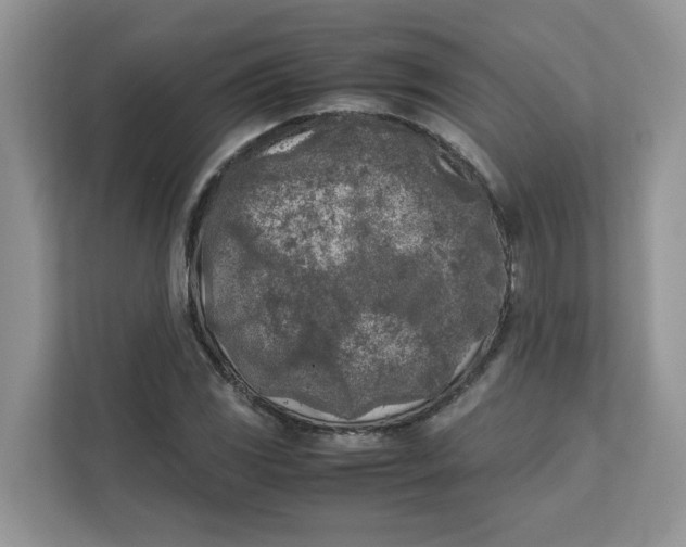 X0000111631117200908071406