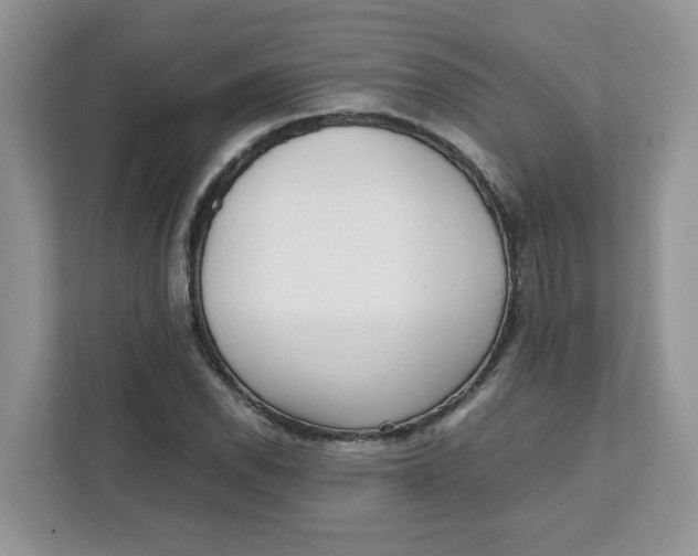 X0000111631118200908071406